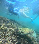 宮古島 ADVENTURE PiPi（ミヤコジマ アドベンチャー ピピ）に投稿された画像（2024/6/22）