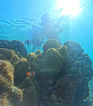 宮古島 ADVENTURE PiPi（ミヤコジマ アドベンチャー ピピ）に投稿された画像（2024/6/22）