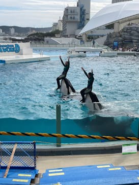 鴨川シーワールドに投稿された画像（2024/6/22）