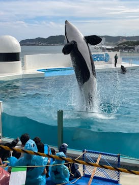 鴨川シーワールドに投稿された画像（2024/6/22）