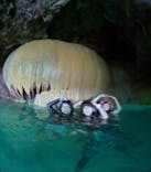 宮古島 ADVENTURE PiPi（ミヤコジマ アドベンチャー ピピ）に投稿された画像（2024/6/22）