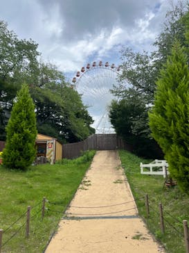 日本モンキーパークに投稿された画像（2024/6/22）