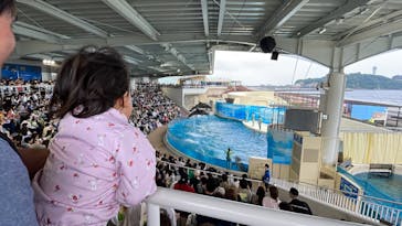 新江ノ島水族館に投稿された画像（2024/6/22）