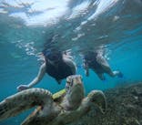 オースリーシュノーケル宮古島に投稿された画像（2024/6/22）