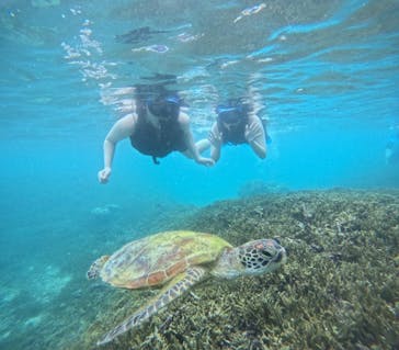 オースリーシュノーケル宮古島に投稿された画像（2024/6/22）