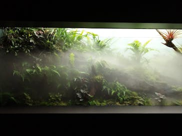 AOAO SAPPOROに投稿された画像（2024/6/22）