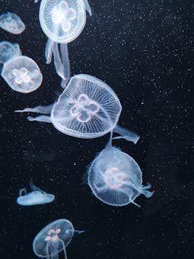 AOAO SAPPOROに投稿された画像（2024/6/22）