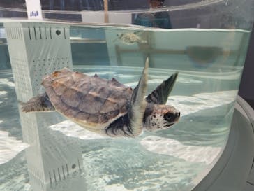 AOAO SAPPOROに投稿された画像（2024/6/22）