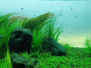 AOAO SAPPOROに投稿された画像（2024/6/22）