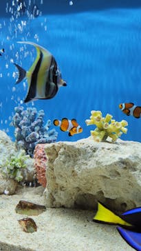 NARA IKIMONO MUSEUMに投稿された画像（2024/6/22）