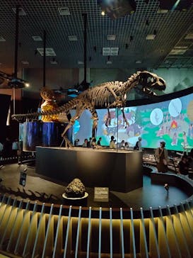 国立科学博物館に投稿された画像（2024/6/22）