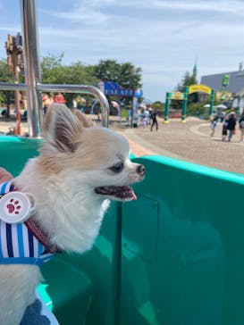 那須ハイランドパークに投稿された画像（2024/6/22）