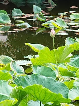 東京国立博物館に投稿された画像（2024/6/22）