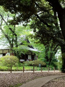 東京国立博物館に投稿された画像（2024/6/22）
