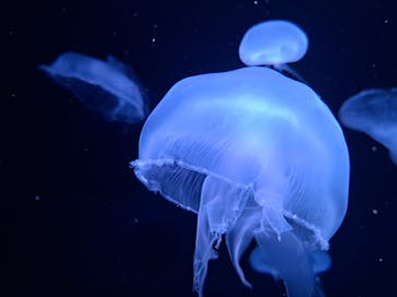 AOAO SAPPOROに投稿された画像（2024/6/22）