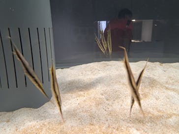 AOAO SAPPOROに投稿された画像（2024/6/22）