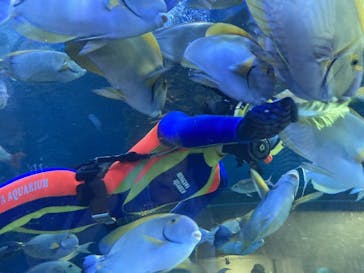 しながわ水族館に投稿された画像（2024/6/22）