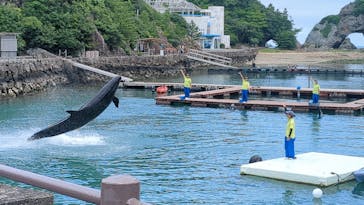 太地町立くじらの博物館に投稿された画像（2024/6/22）