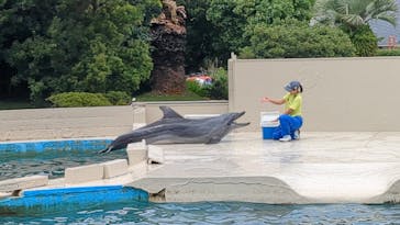 太地町立くじらの博物館に投稿された画像（2024/6/22）