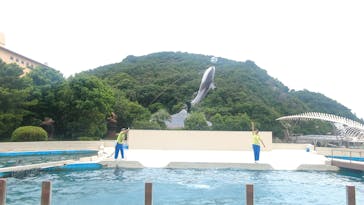 太地町立くじらの博物館に投稿された画像（2024/6/22）