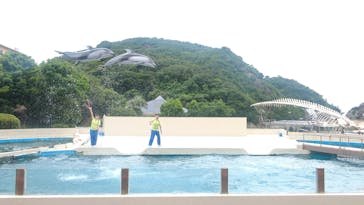 太地町立くじらの博物館に投稿された画像（2024/6/22）