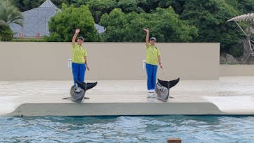 太地町立くじらの博物館に投稿された画像（2024/6/22）