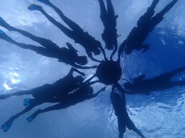 石垣島 ADVENTURE PiPi（イシガキジマアドベンチャーピピ）に投稿された画像（2024/6/22）