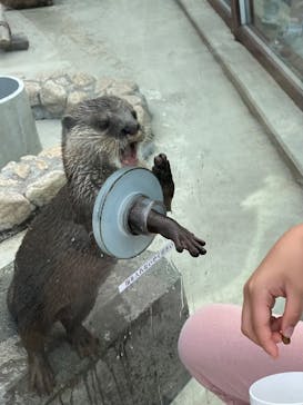 横浜・八景島シーパラダイスに投稿された画像（2024/6/22）