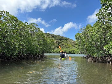 西表島 ADVENTURE PiPi（アドベンチャーピピ）に投稿された画像（2024/6/23）