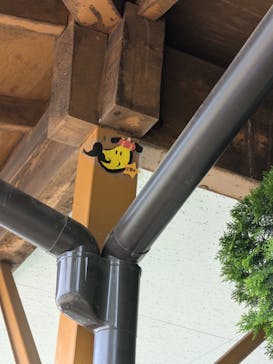 つくばわんわんランドに投稿された画像（2024/6/23）