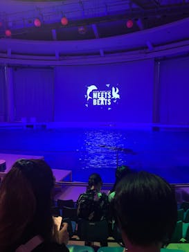 アクアワールド茨城県大洗水族館に投稿された画像（2024/6/23）