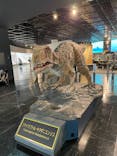 福井県立恐竜博物館に投稿された画像（2024/6/23）