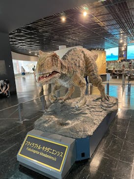 福井県立恐竜博物館に投稿された画像（2024/6/23）