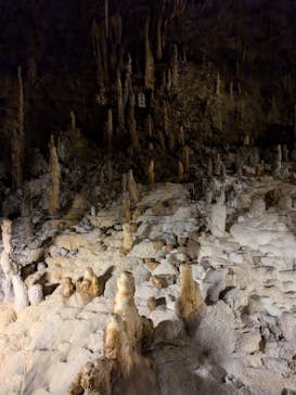 おきなわワールドに投稿された画像（2024/6/23）