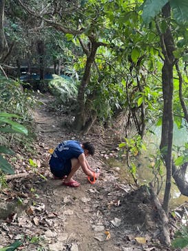 西表島 ADVENTURE PiPi（アドベンチャーピピ）に投稿された画像（2024/6/23）