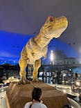 福井県立恐竜博物館に投稿された画像（2024/6/23）