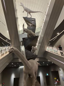 福井県立恐竜博物館に投稿された画像（2024/6/23）