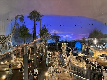 福井県立恐竜博物館に投稿された画像（2024/6/23）