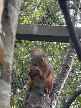 神戸どうぶつ王国に投稿された画像（2024/6/23）