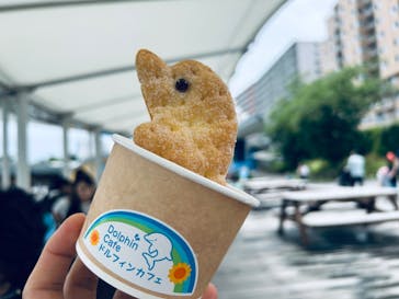 しながわ水族館に投稿された画像（2024/6/23）