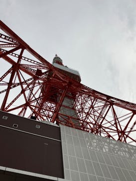 東京タワーに投稿された画像（2024/6/23）