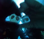 青の洞窟専門店　沖縄ダイビングショップ和に投稿された画像（2024/6/23）