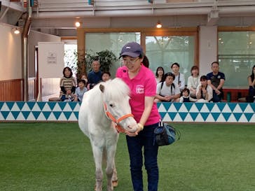 ノーザンホースパークに投稿された画像（2024/6/23）