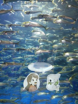 アクアワールド茨城県大洗水族館に投稿された画像（2024/6/23）