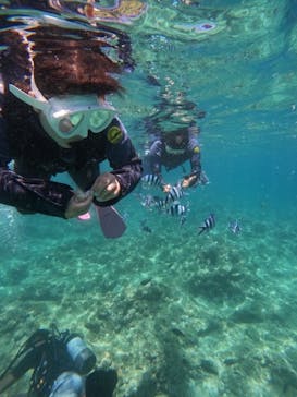 沖縄マリンサービス碧に投稿された画像（2024/6/23）