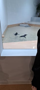 AOAO SAPPOROに投稿された画像（2024/6/23）