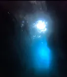 武藤潜水に投稿された画像（2024/6/23）