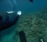 武藤潜水に投稿された画像（2024/6/23）