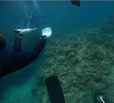 武藤潜水に投稿された画像（2024/6/23）