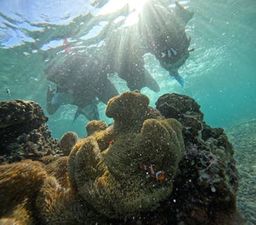 宮古島 ADVENTURE PiPi（ミヤコジマ アドベンチャー ピピ）に投稿された画像（2024/6/23）